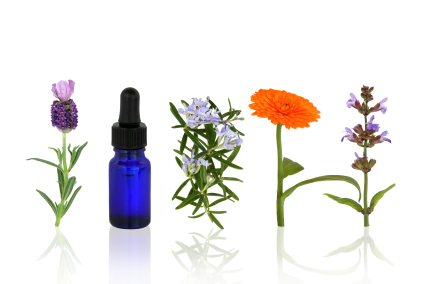photo of flowers and tincture bottle